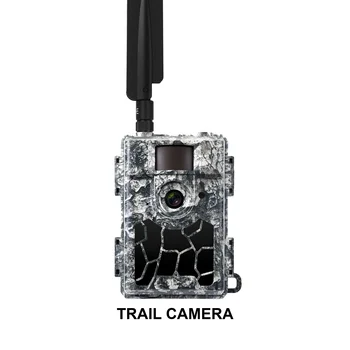 4G Наружная камера дикой природы, ночное видение, управление приложением, облачная камера для охоты, солнечная панель